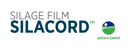 Frame 8